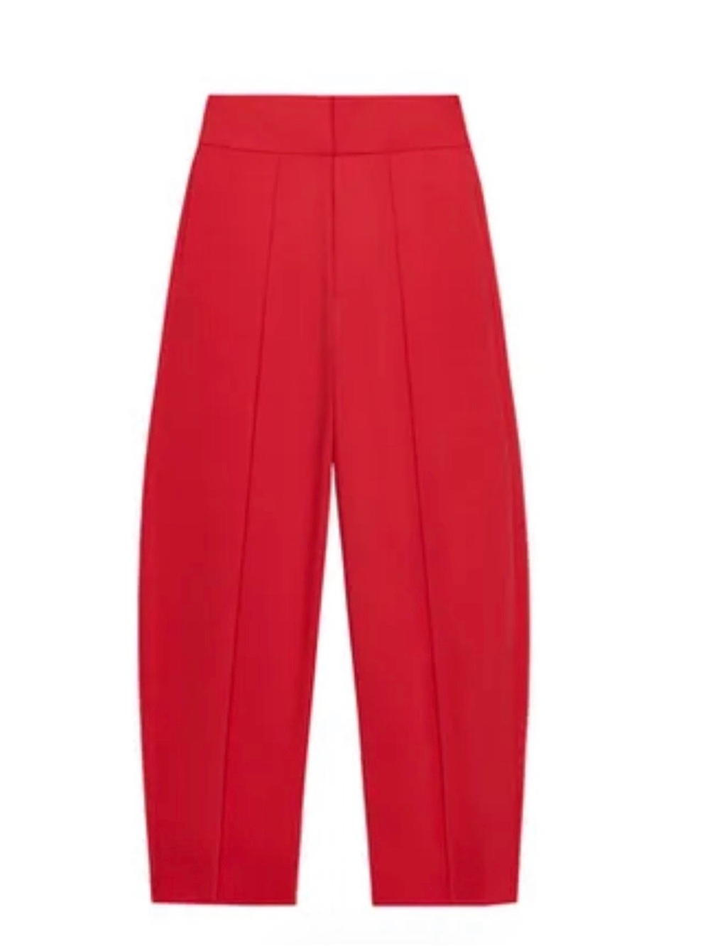 Zara Pleated Balloon Pants